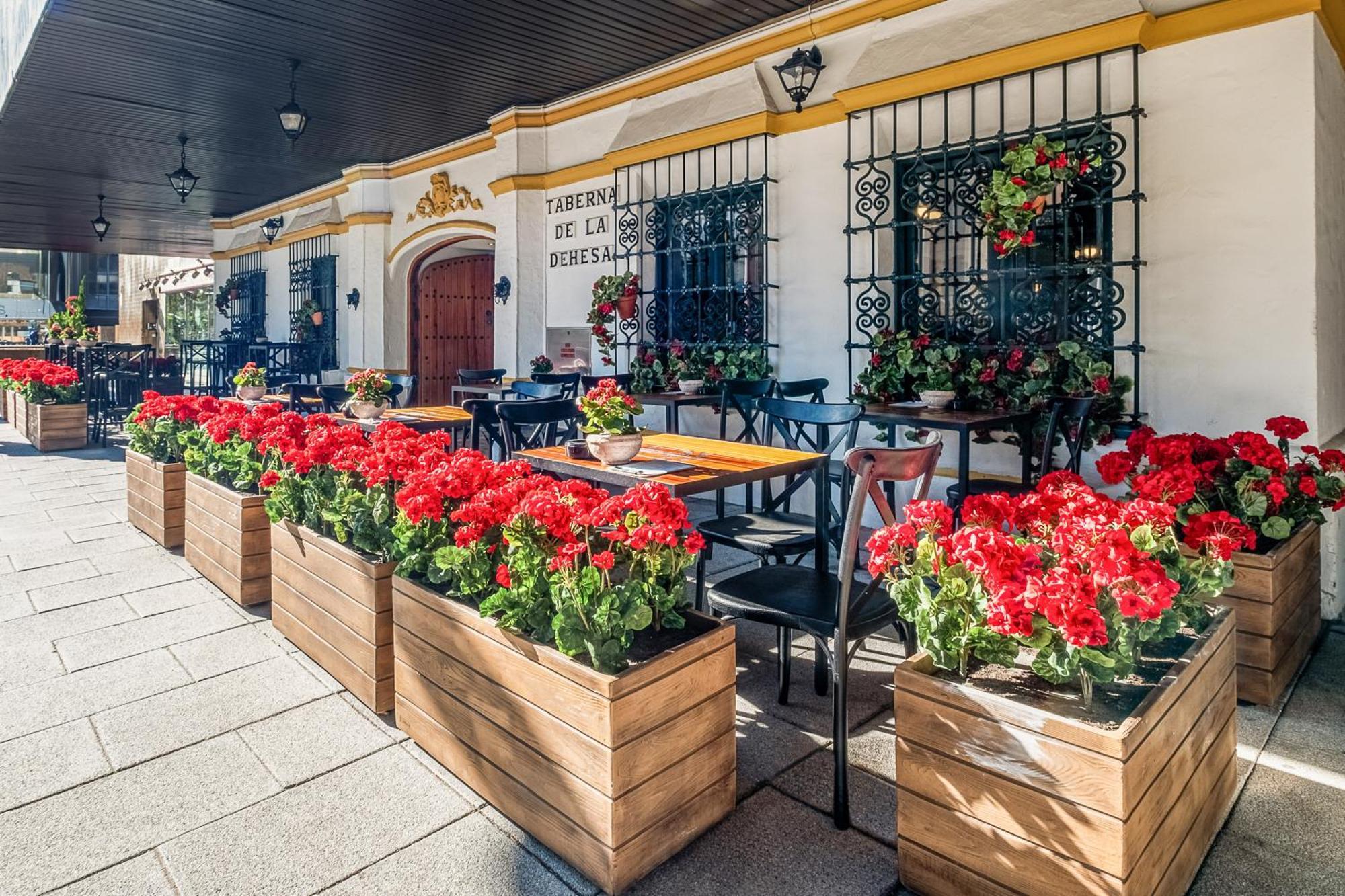 Hotel Melia Lebreros